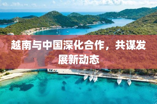 越南與中國深化合作，共謀發(fā)展新動態(tài)