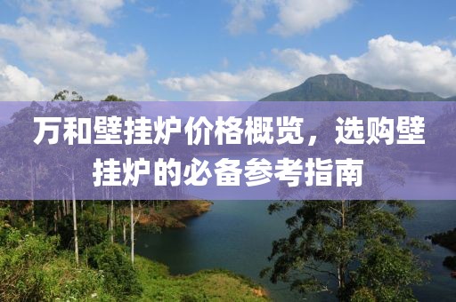 萬和壁掛爐價格概覽，選購壁掛爐的必備參考指南