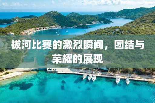 拔河比賽的激烈瞬間，團結(jié)與榮耀的展現(xiàn)