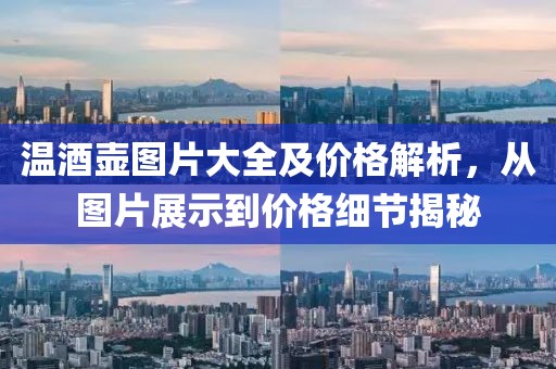 溫酒壺圖片大全及價格解析，從圖片展示到價格細(xì)節(jié)揭秘