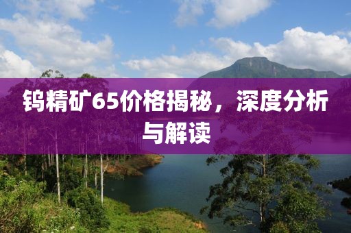 鎢精礦65價格揭秘，深度分析與解讀