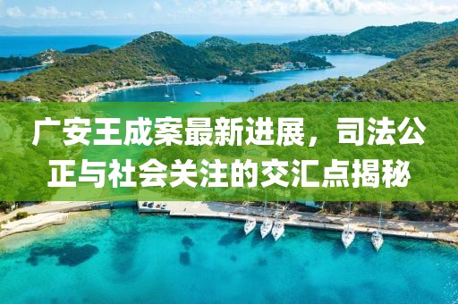 廣安王成案最新進(jìn)展，司法公正與社會(huì)關(guān)注的交匯點(diǎn)揭秘
