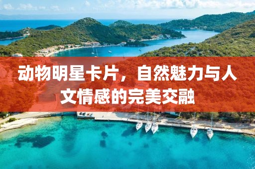 動物明星卡片，自然魅力與人文情感的完美交融