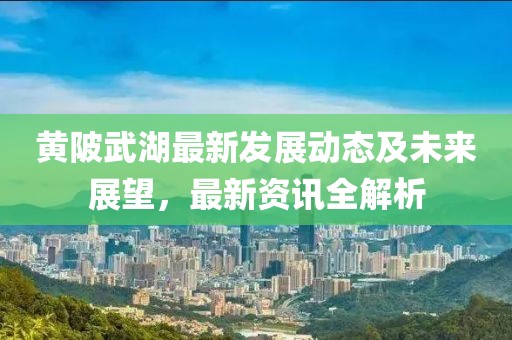 黃陂武湖最新發(fā)展動(dòng)態(tài)及未來(lái)展望，最新資訊全解析