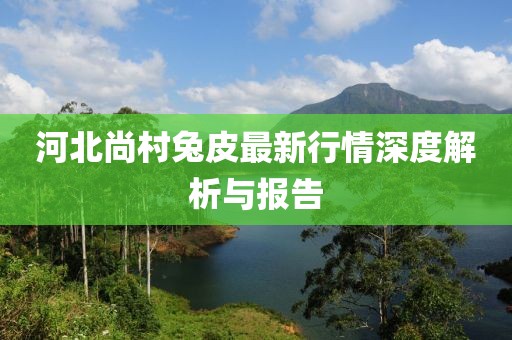 河北尚村兔皮最新行情深度解析與報告