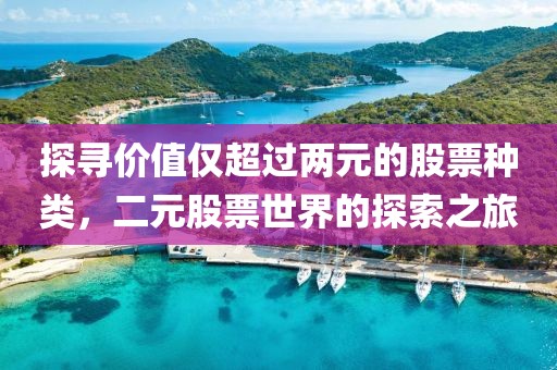 探尋價(jià)值僅超過(guò)兩元的股票種類，二元股票世界的探索之旅