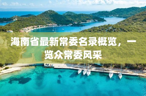 海南省最新常委名錄概覽，一覽眾常委風(fēng)采