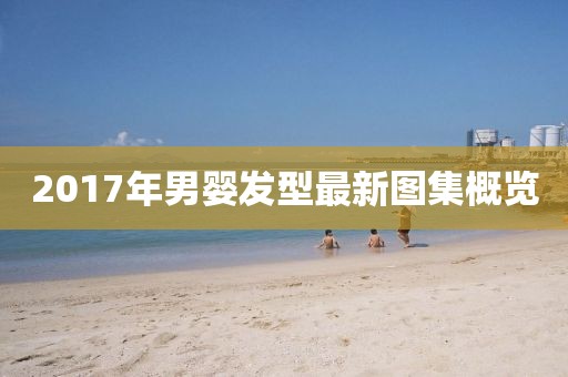 2017年男嬰發(fā)型最新圖集概覽