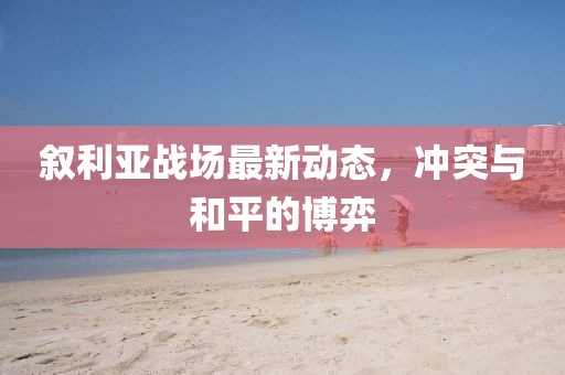 敘利亞戰(zhàn)場最新動態(tài)，沖突與和平的博弈