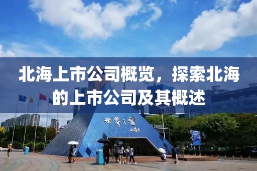北海上市公司概覽，探索北海的上市公司及其概述