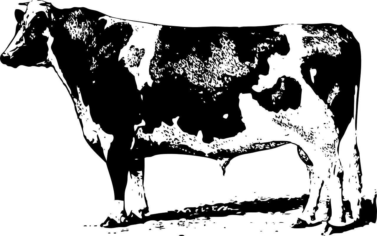 中合三農(nóng)集團(tuán)引領(lǐng)農(nóng)業(yè)產(chǎn)業(yè)變革，共創(chuàng)鄉(xiāng)村振興新篇章的最新動態(tài),或者中合三農(nóng)集團(tuán)，鄉(xiāng)村振興的先鋒，最新動態(tài)引領(lǐng)農(nóng)業(yè)創(chuàng)新