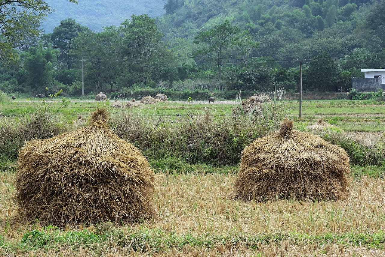 思瑞浦動態(tài)，科技創(chuàng)新的先鋒引領(lǐng)者