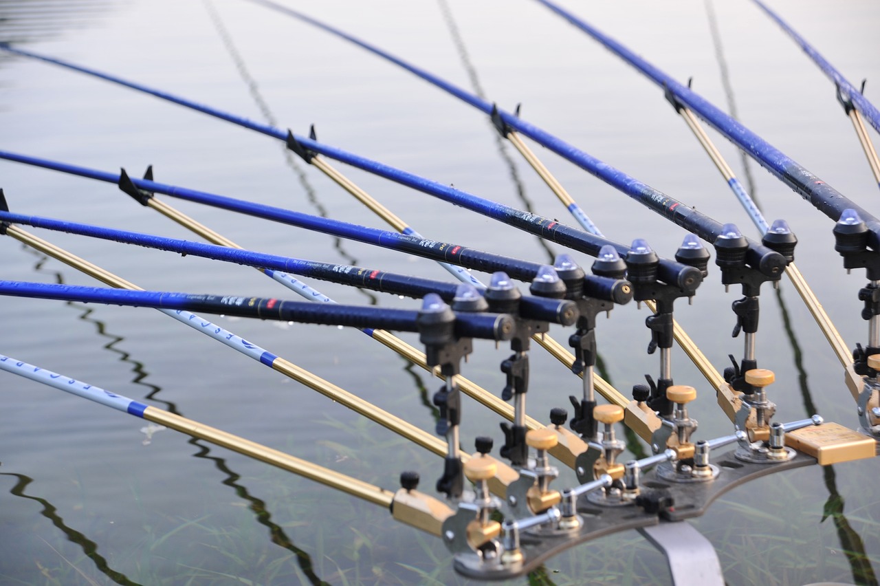 魚桿魚具價(jià)格全面解析，深度了解市場(chǎng)行情與購(gòu)買指南