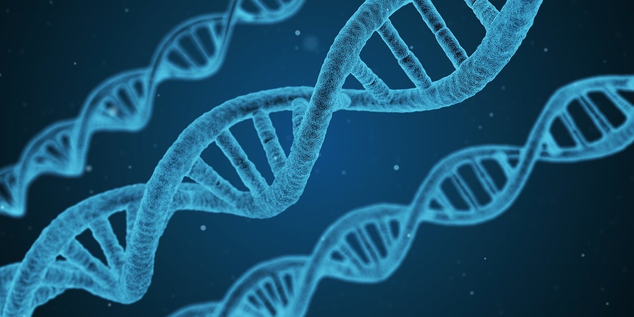 三諾生物引領生物科技，塑造健康未來最新資訊