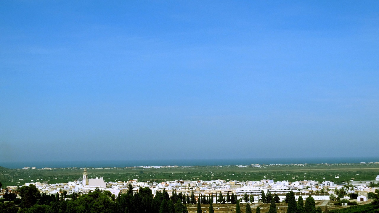 檳榔價(jià)格行情深度分析，市場(chǎng)動(dòng)態(tài)與趨勢(shì)預(yù)測(cè)