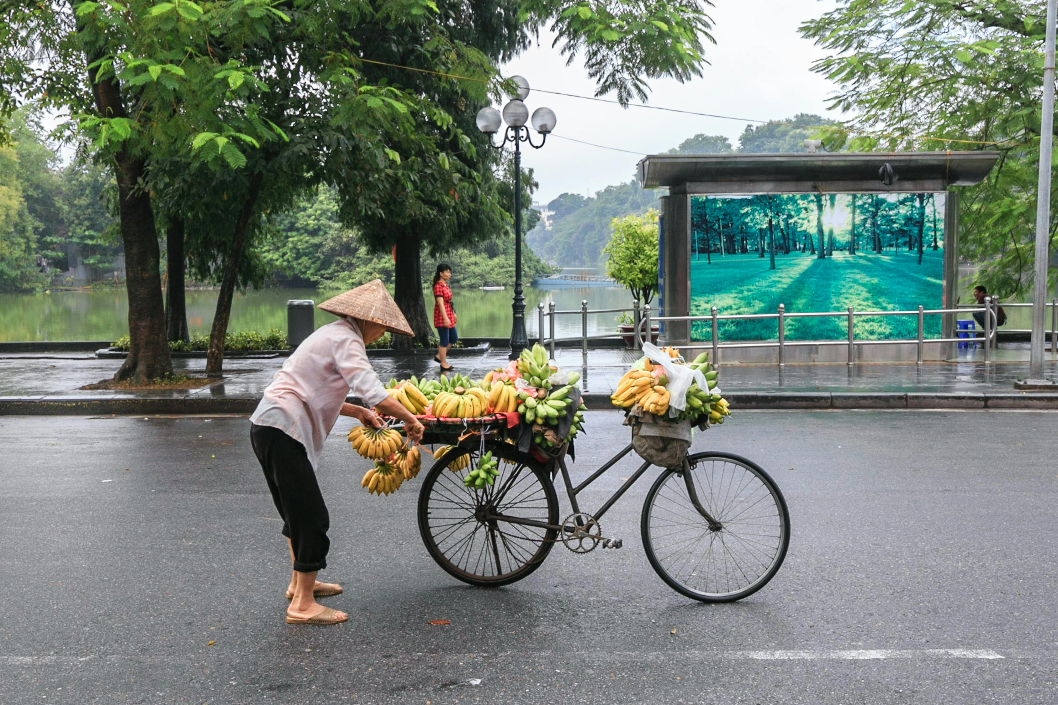 重慶交通事故深度解析，事故原因與應(yīng)對之策的最新報道