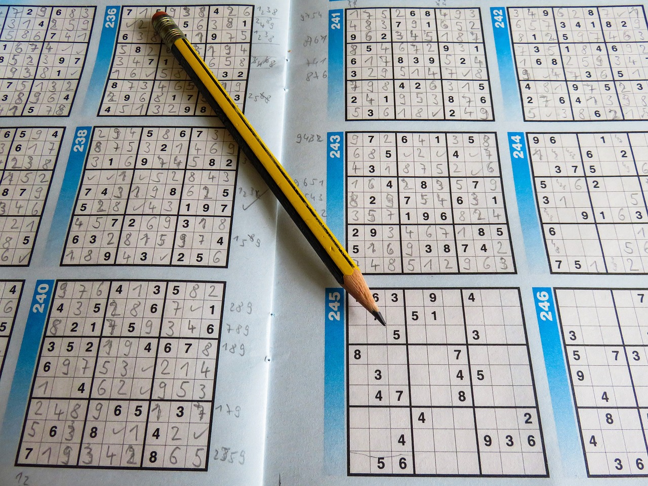 全國(guó)中小學(xué)數(shù)獨(dú)比賽，智慧挑戰(zhàn)，風(fēng)采展現(xiàn)