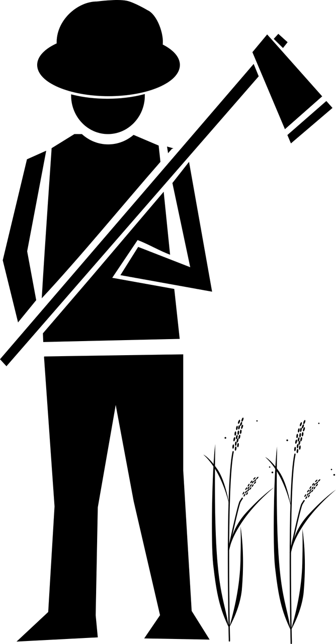 農(nóng)業(yè)科技崛起與未來(lái)展望，超級(jí)農(nóng)民的最新章節(jié)展望