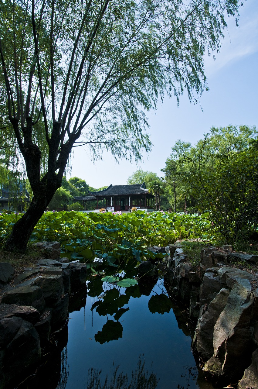 蘇州最新動態(tài)，城市繁榮與未來脈動展望