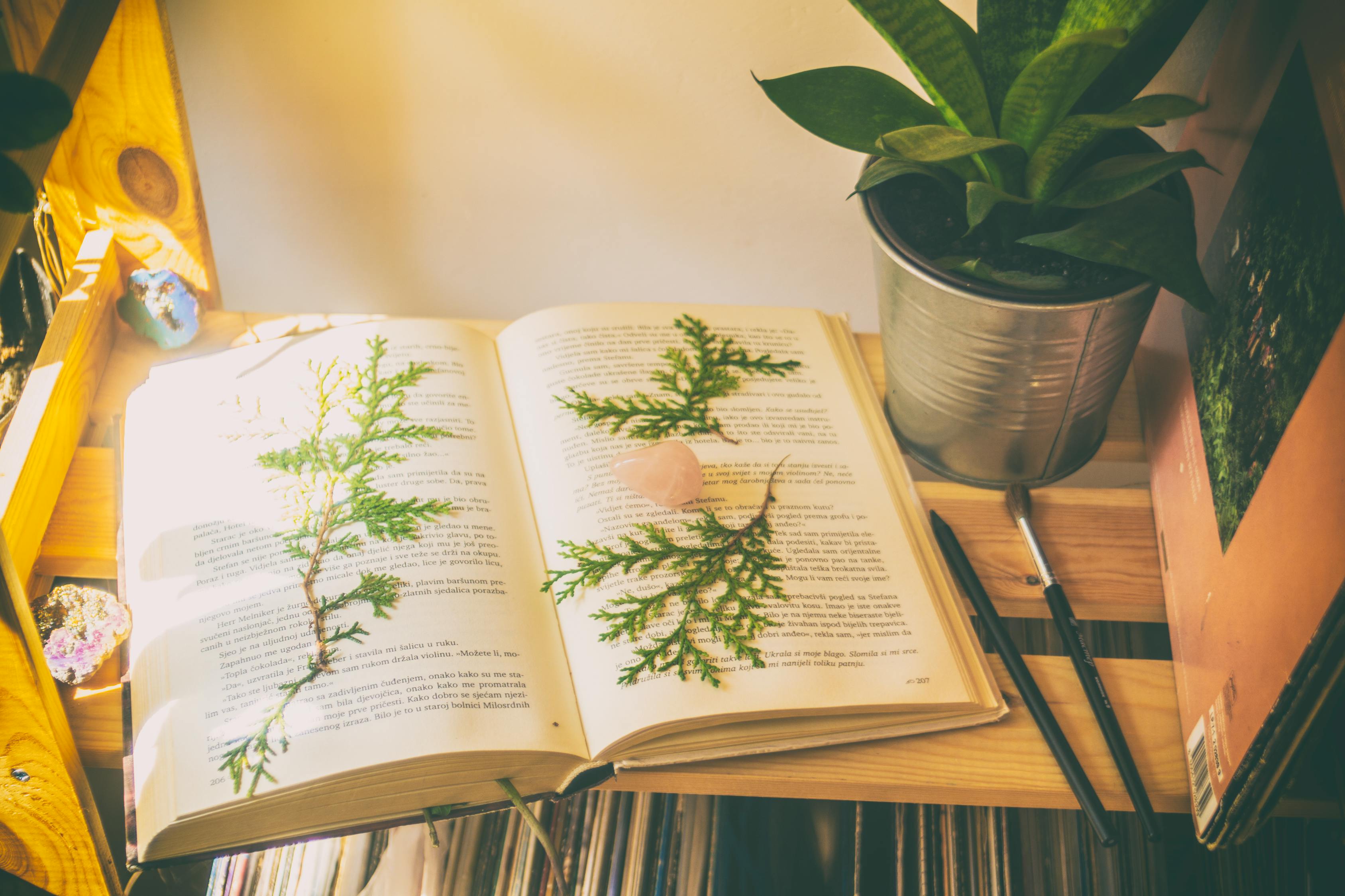 經(jīng)典誦讀比賽的感悟與體驗(yàn)，一場精彩的400字作文分享