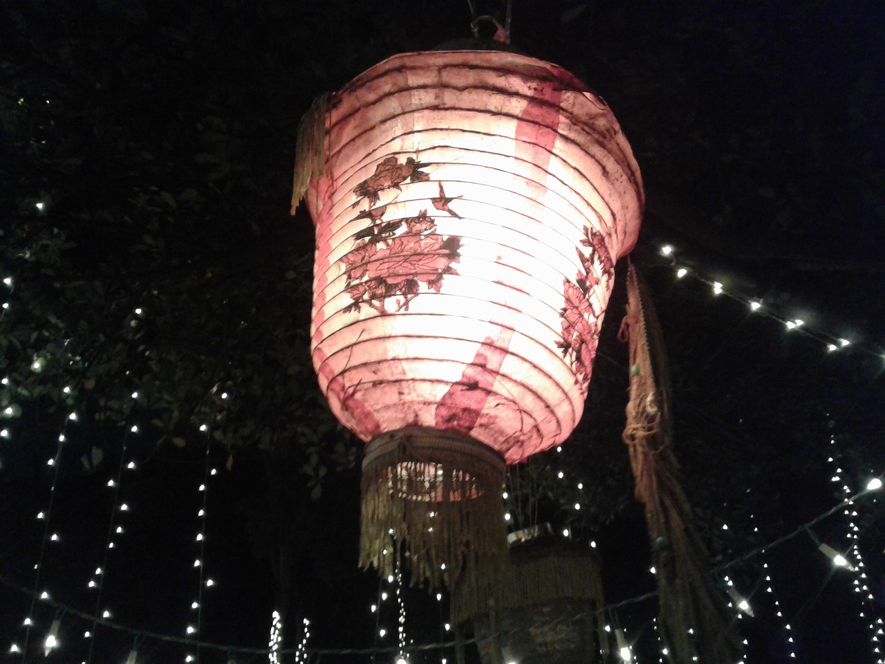 電影過年，傳統(tǒng)與現(xiàn)代交織的情感盛宴之夜