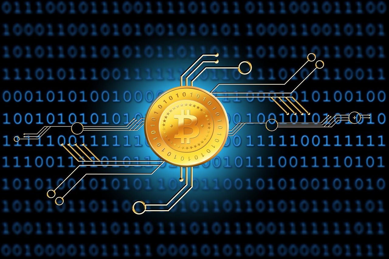 最新貨源信息解析，洞悉市場(chǎng)，掌握先機(jī)