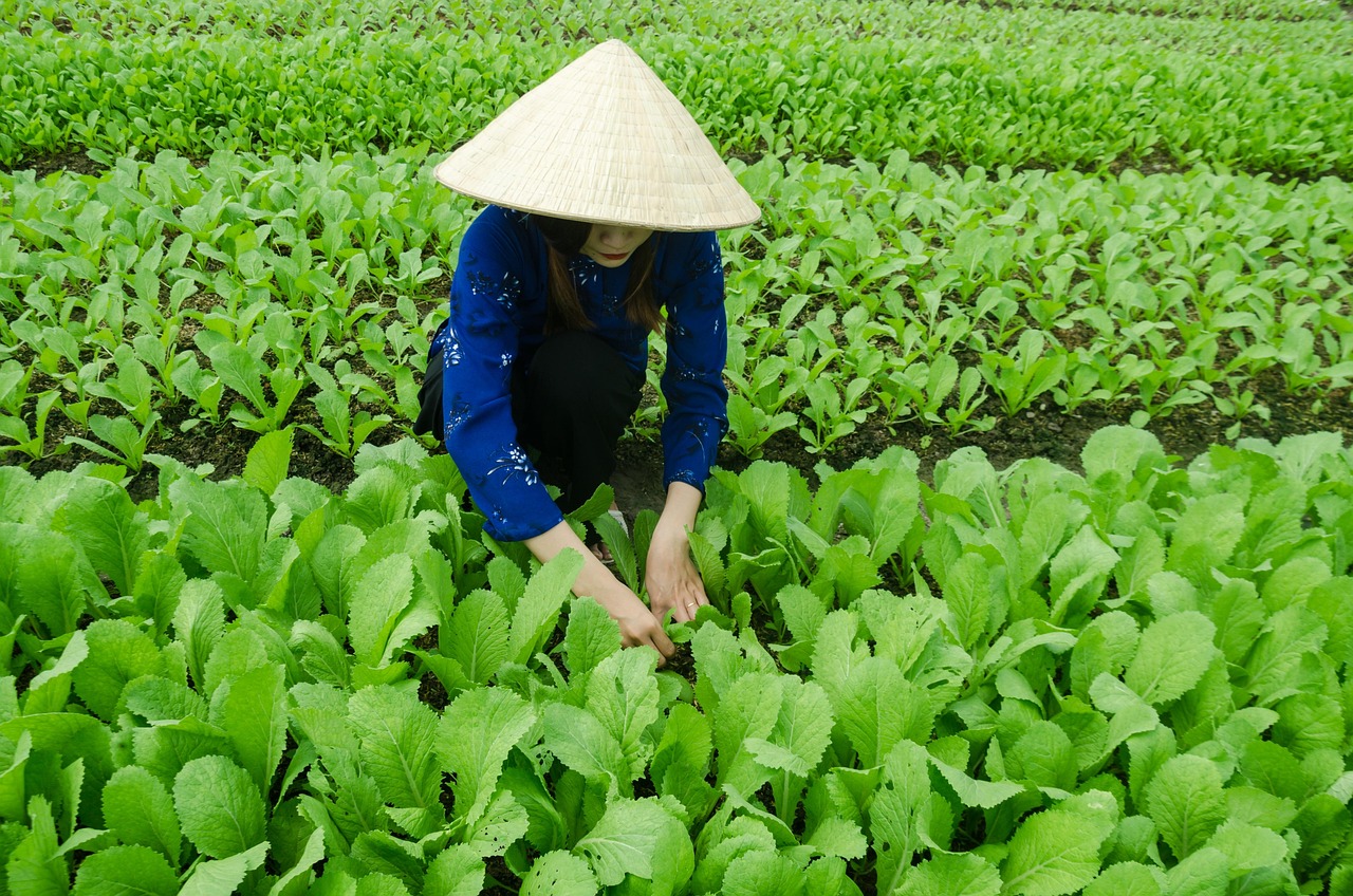 務(wù)川動(dòng)態(tài)，探索與發(fā)展并進(jìn)的步伐