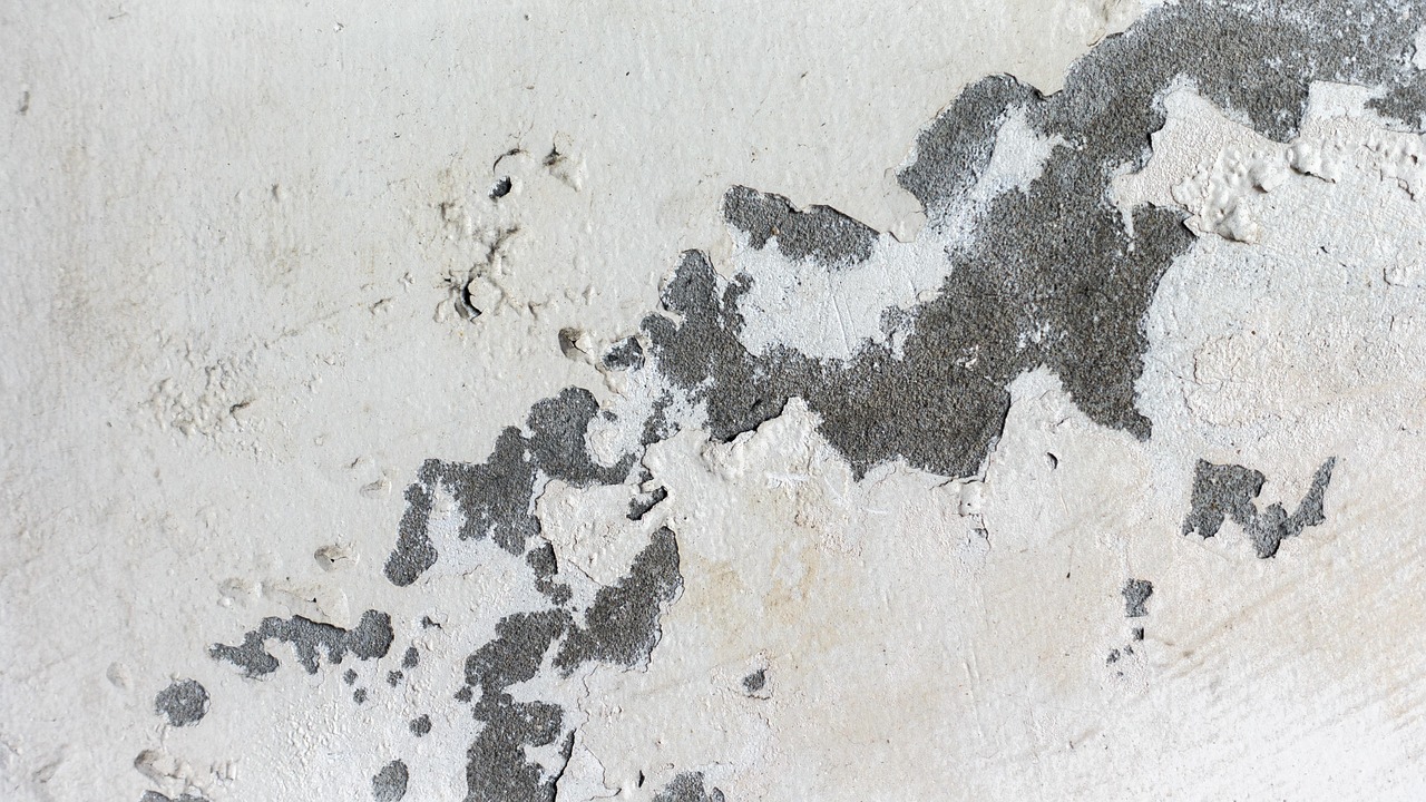 九州安置區(qū)持續(xù)推動建設(shè)與發(fā)展，最新動態(tài)與進(jìn)展報告