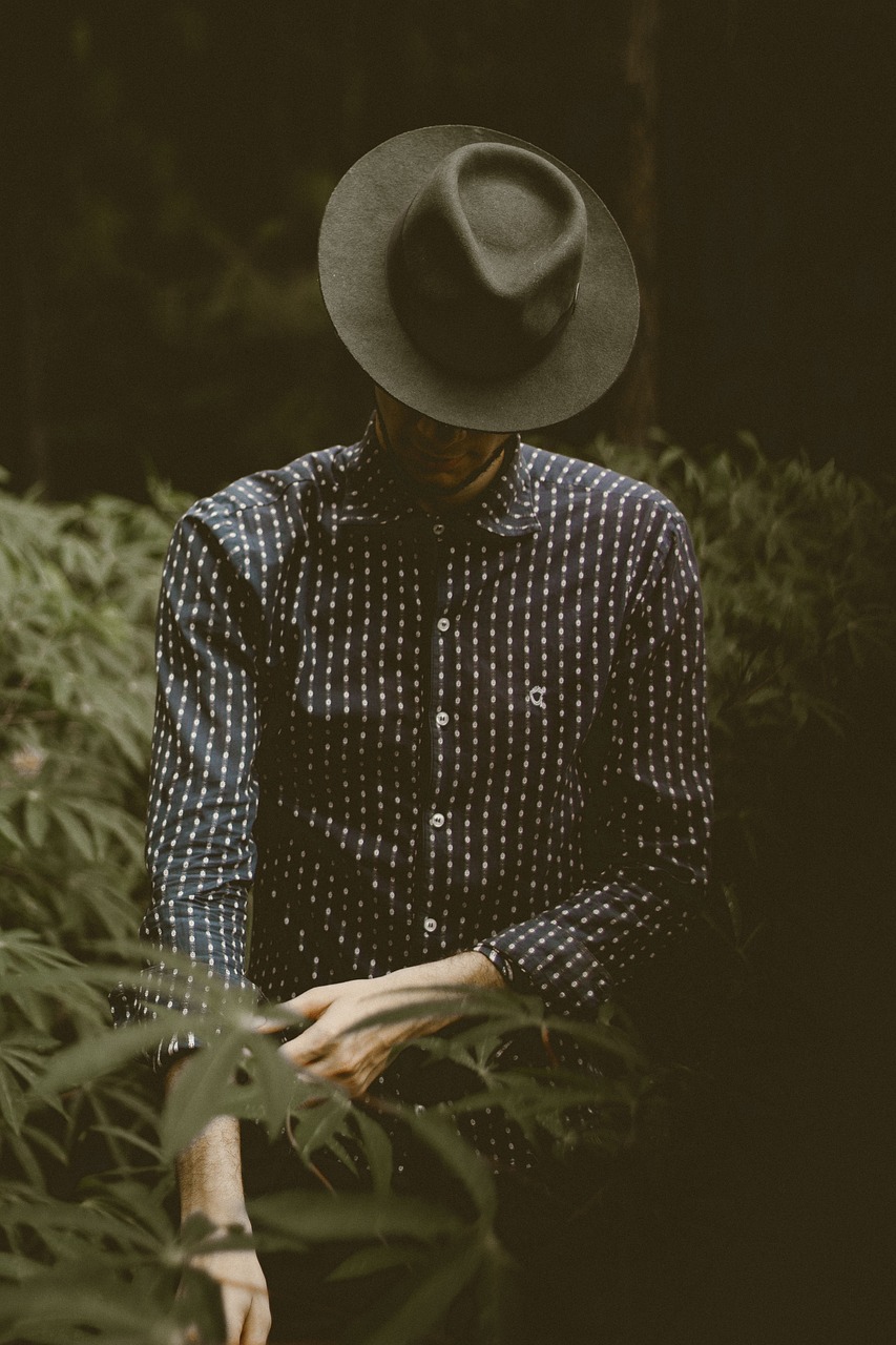 發(fā)福男明星的挑戰(zhàn)與重塑，形象重塑之路的探討