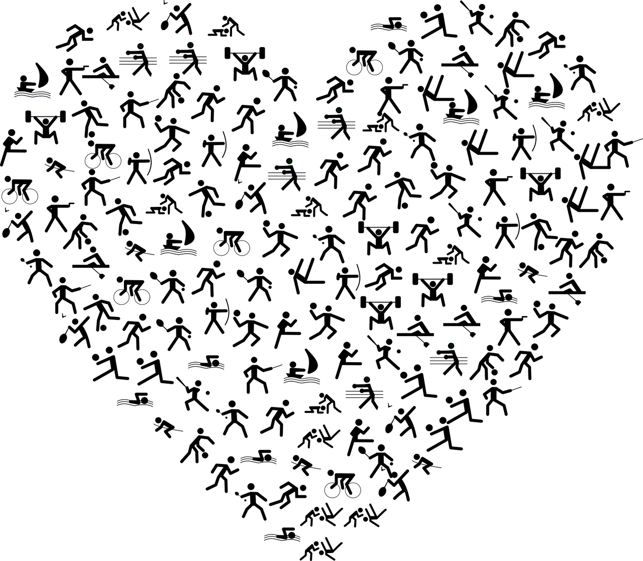 豐臺信鴿賽事動態(tài)，賽場激情與競技精神的探尋