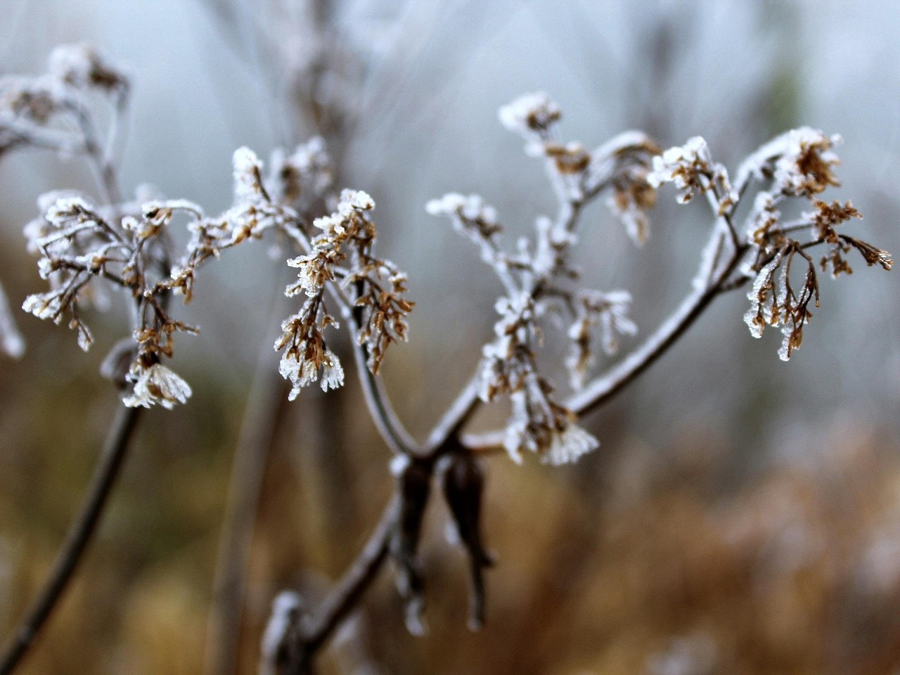 大雪冬至電影，溫情與深意的冬日篇章