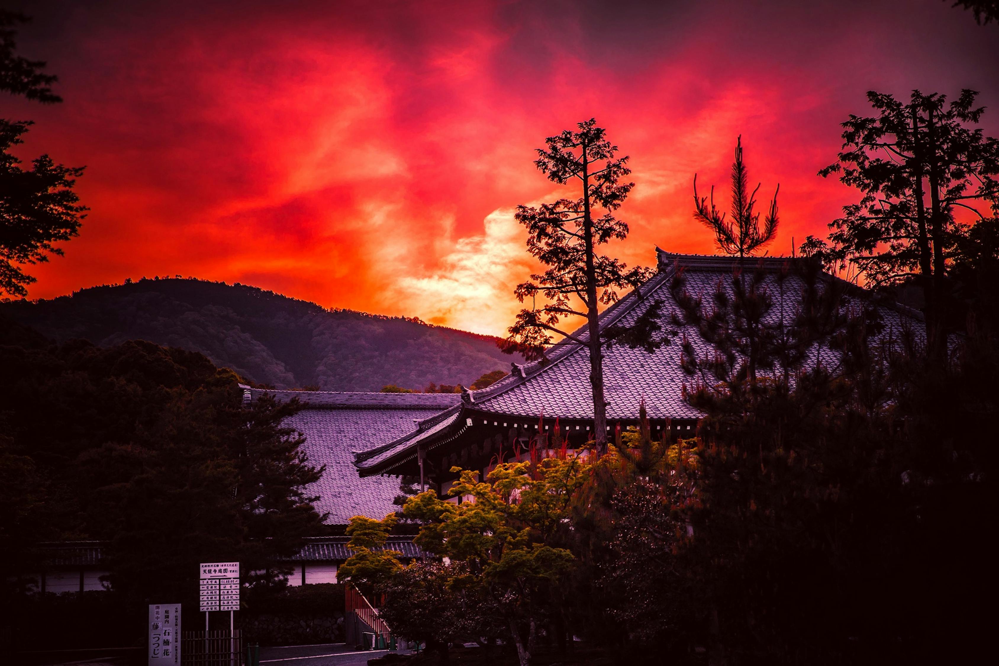 日本災(zāi)難電影全景深度解析，災(zāi)難之下的人性探討