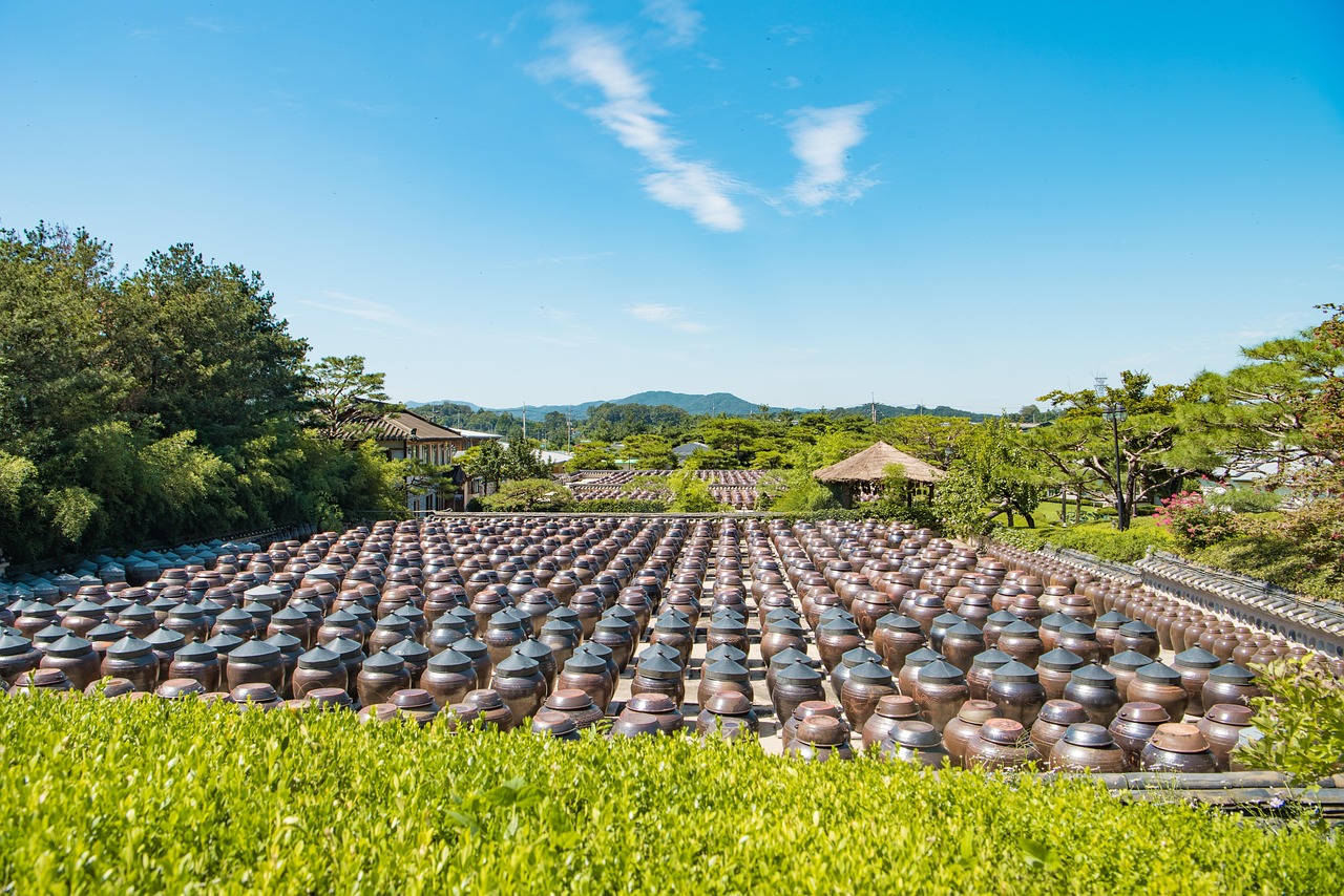 最新果樹(shù)品種探索，開(kāi)啟未來(lái)農(nóng)業(yè)新篇章