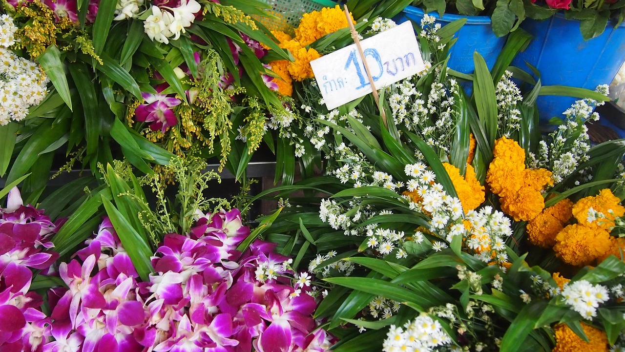藏藥綠蘿花價(jià)格深度解析與市場分析