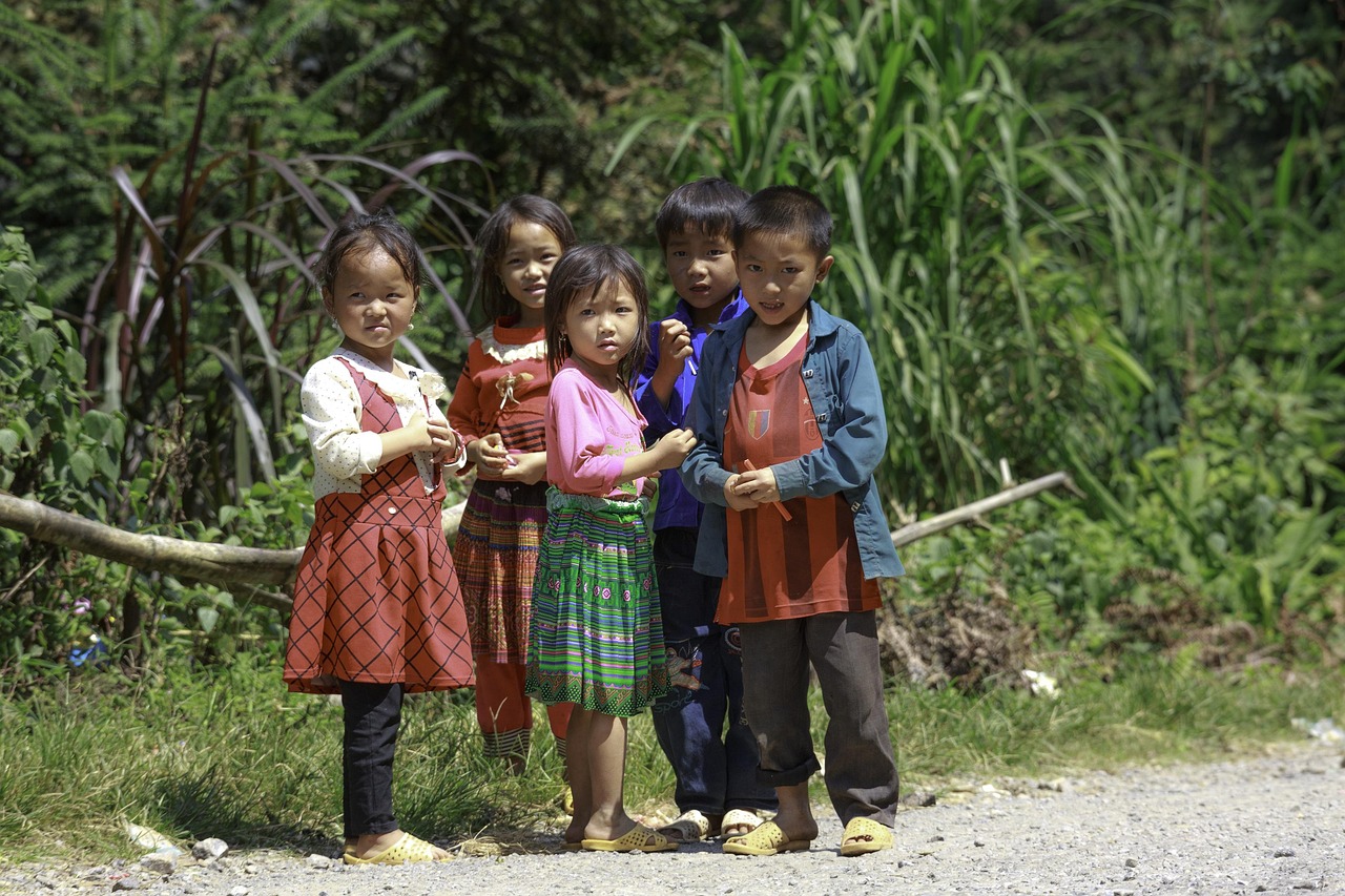 老農(nóng)民電視劇全集，農(nóng)村生活的真實(shí)寫照（免費(fèi)播放60集高清版）