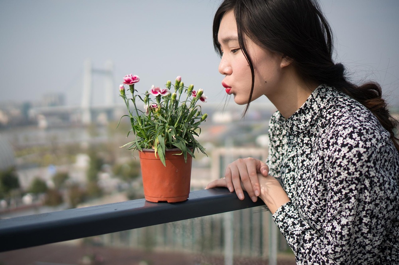 香港女演員的魅力與風(fēng)采展示