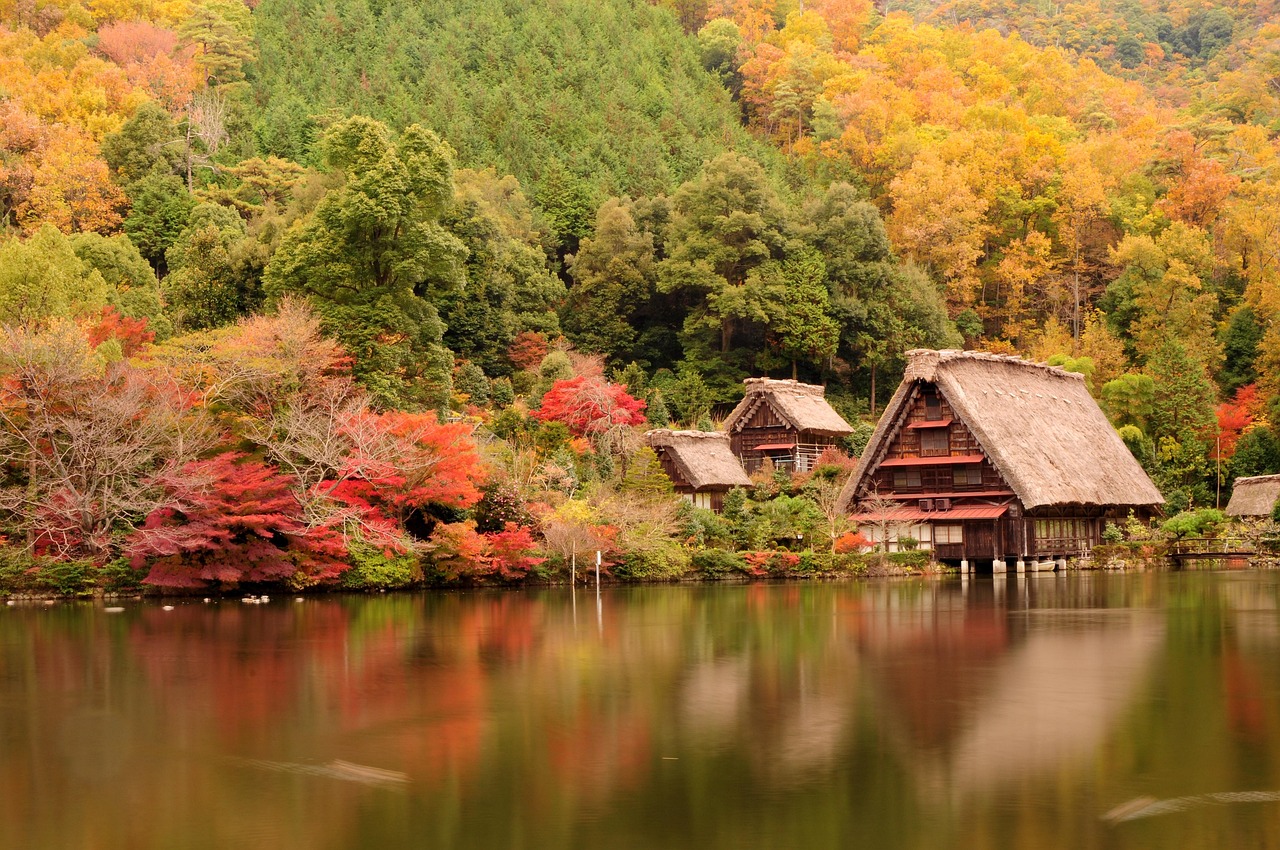最新黃山旅行記，探索壯麗山水的獨(dú)特魅力