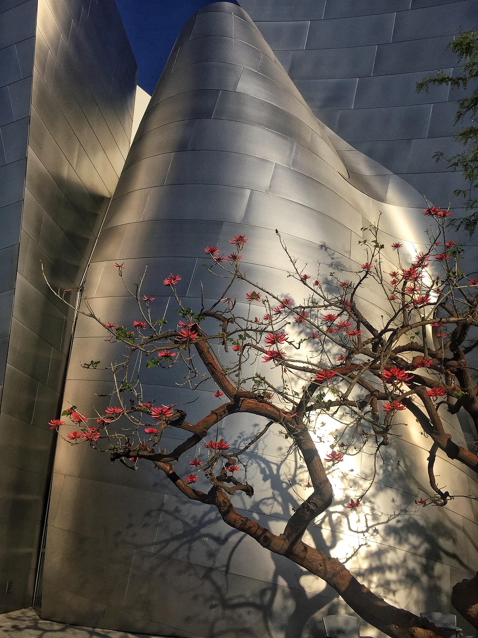 楊金柱最新動態，新旅程啟程，未來展望揭曉