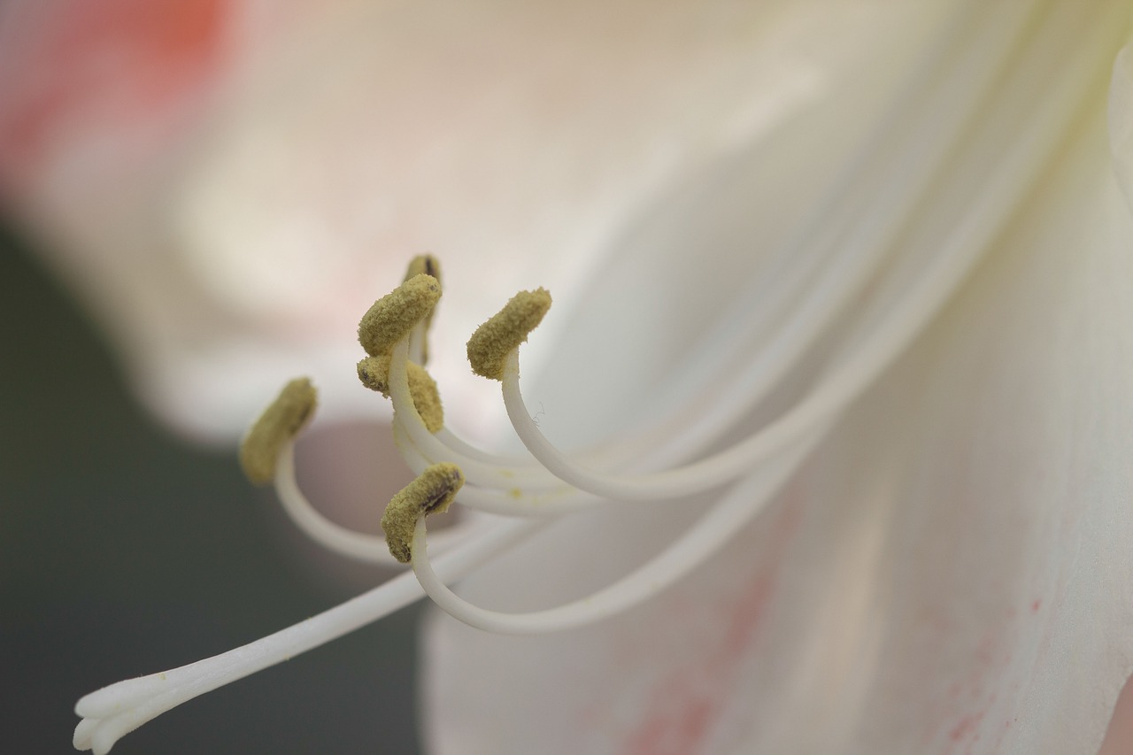 情感深處糾葛與變化的探索，入骨纏最新解析