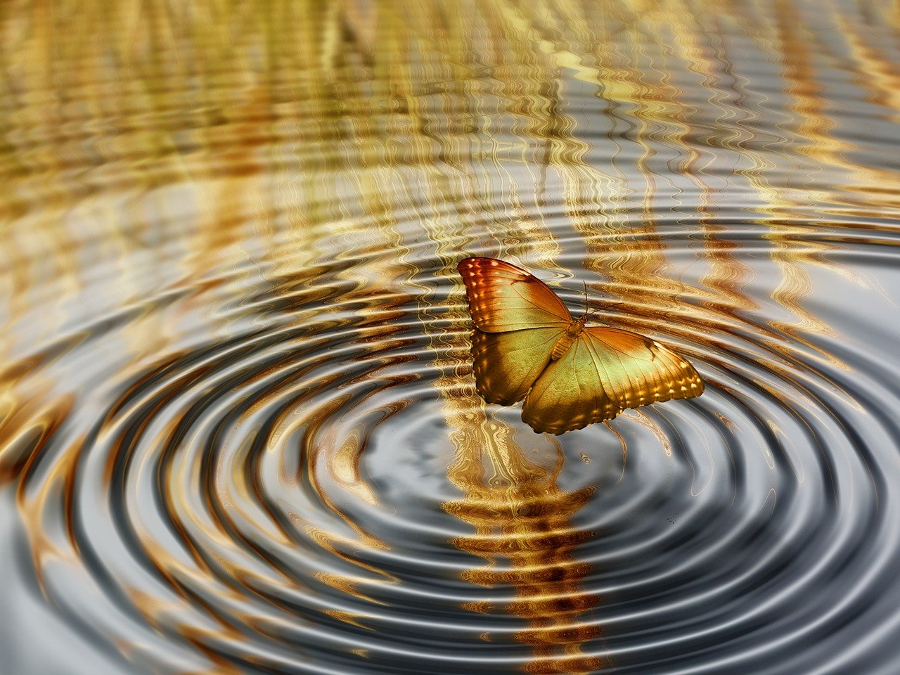 星光照亮夢想之路，追尋人生新篇章的旅程
