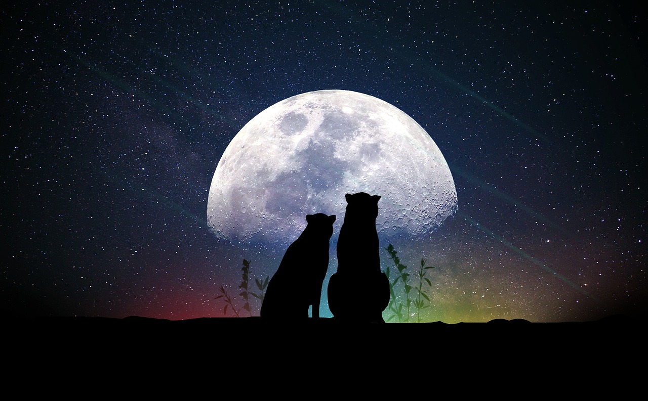 深夜情感與奇幻世界的探索，熱戀動(dòng)漫